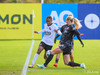 wfh - weintracht frankfurt
