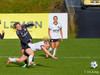 wfh - weintracht frankfurt