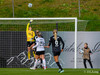 wfh - weintracht frankfurt
