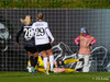 wfh - weintracht frankfurt