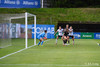 wfh - weintracht frankfurt