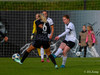 wfh - weintracht frankfurt