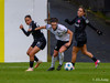wfh - weintracht frankfurt