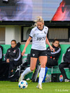 wfh - weintracht frankfurt