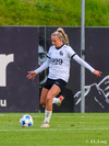 wfh - weintracht frankfurt