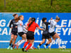 wfh - weintracht frankfurt
