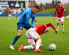 Ísland-Búlgaría